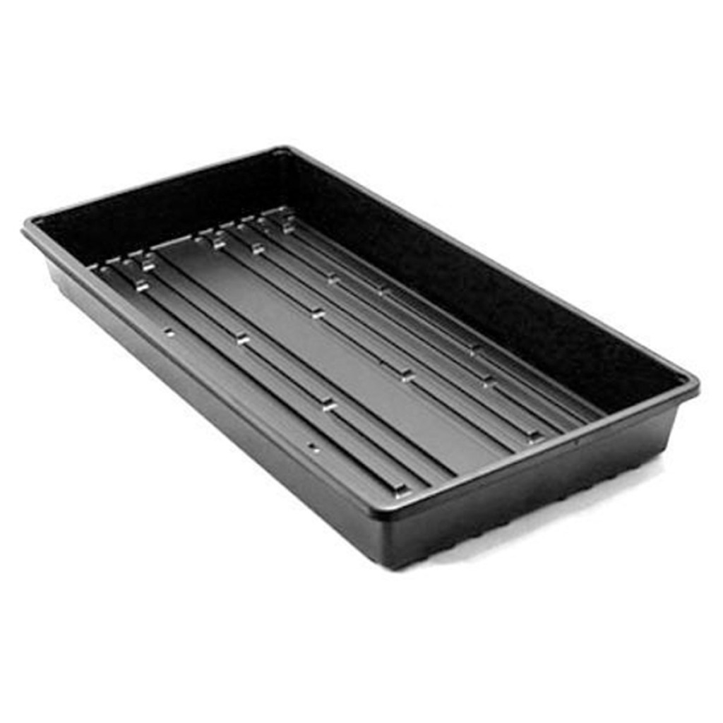 Seed Tray