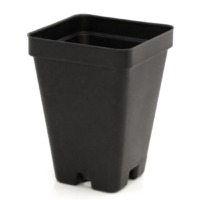 Square Pot - 2.5" x 3.5"