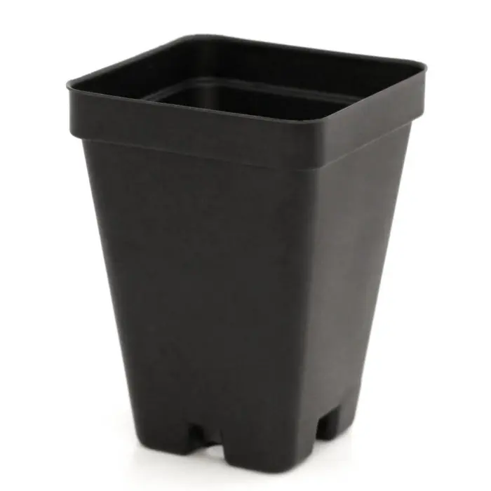 Square Pot