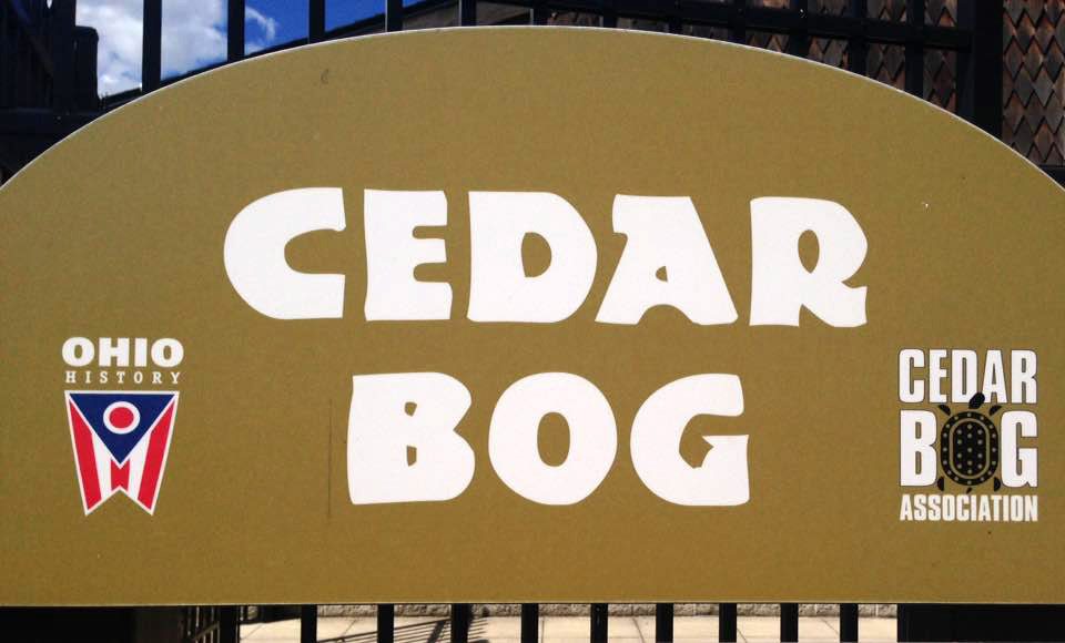 Cedar Bog