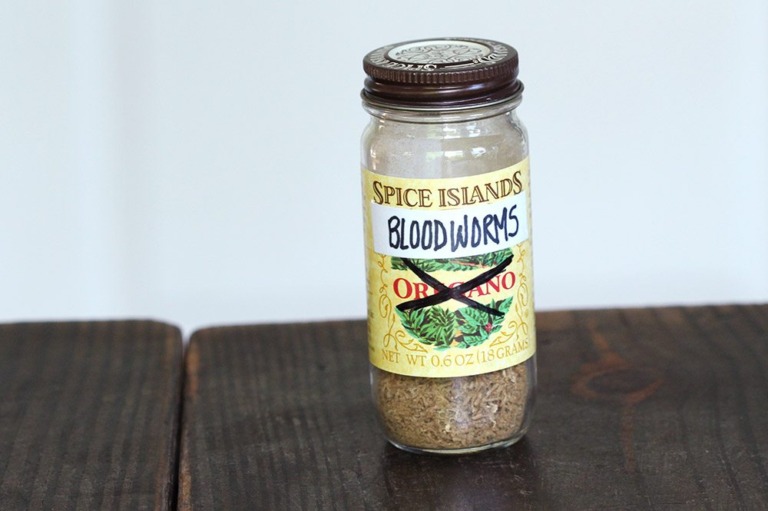 How To Feed Carnivorous Plants Tips & Techniques Curious Plant