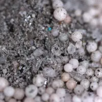 Maxsea 16-16-16 Carnivorous Plant Fertilizer