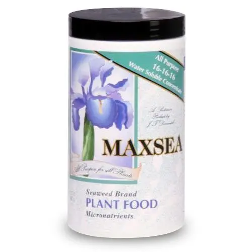 Maxsea 16-16-16 Carnivorous Plant Fertilizer