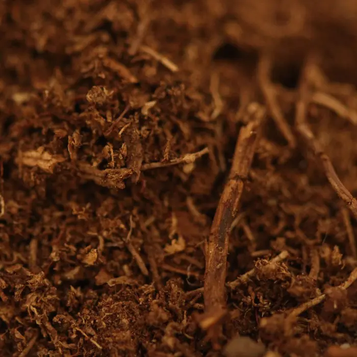 Canadian Sphagnum Peat Moss