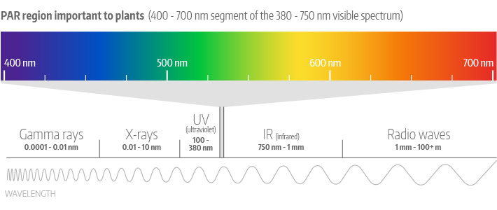 PAR Region of the Electromagnetic Spectrum