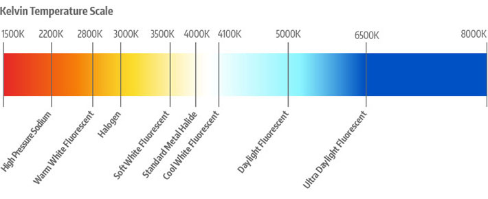 Kelvin Temperature Scale