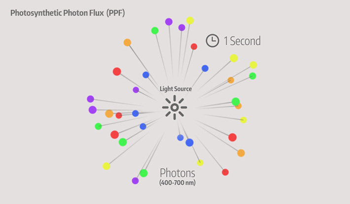 Photosynthetic Photon Flux