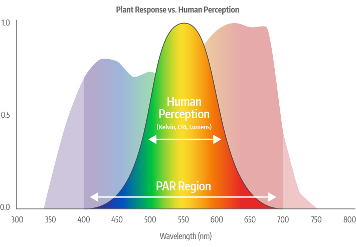 Plant Response vs. Human Perception