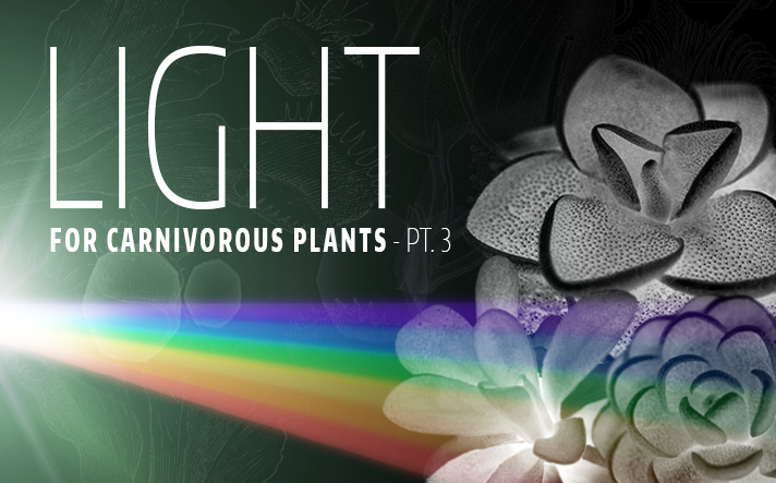 Which Grow Lights Are Best