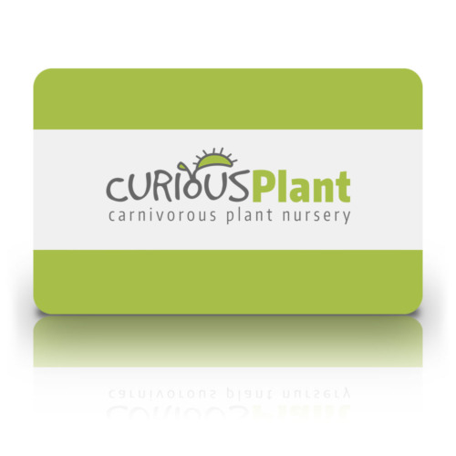 Curious Plant Gift Card