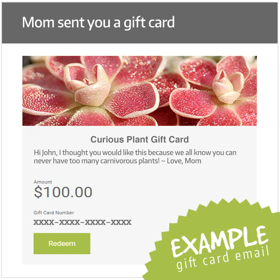 Example Gift Card Email