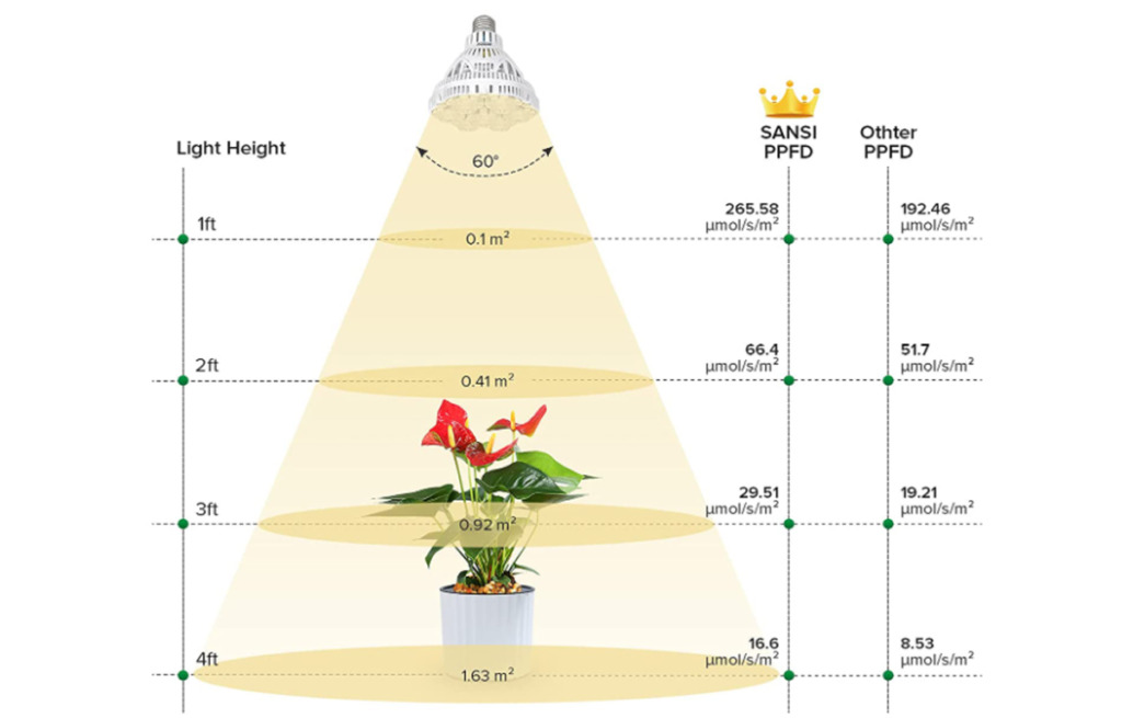 How Much Light Do Carnivorous Plants Need? - Part 2 | Curious Plant