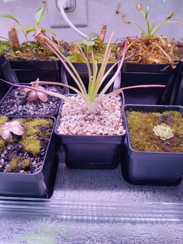 Image #1 from Nicole G.