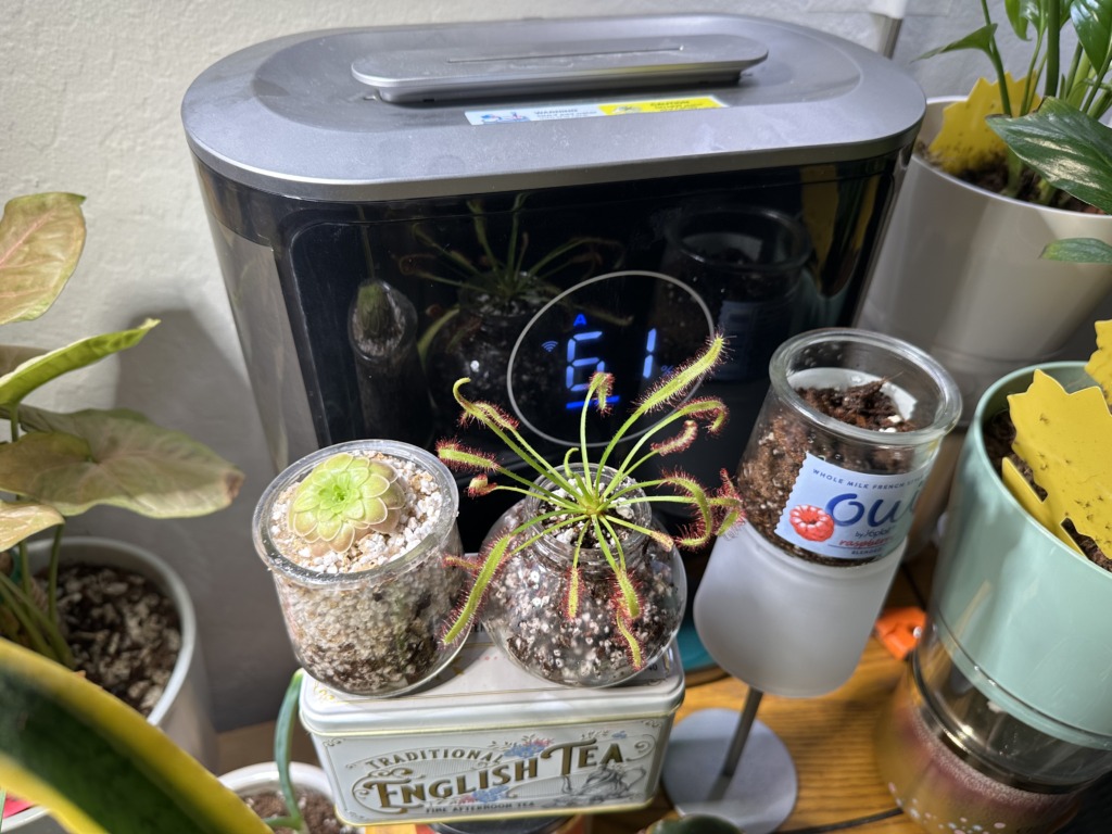 Image #1 from Tiffany Kawamura