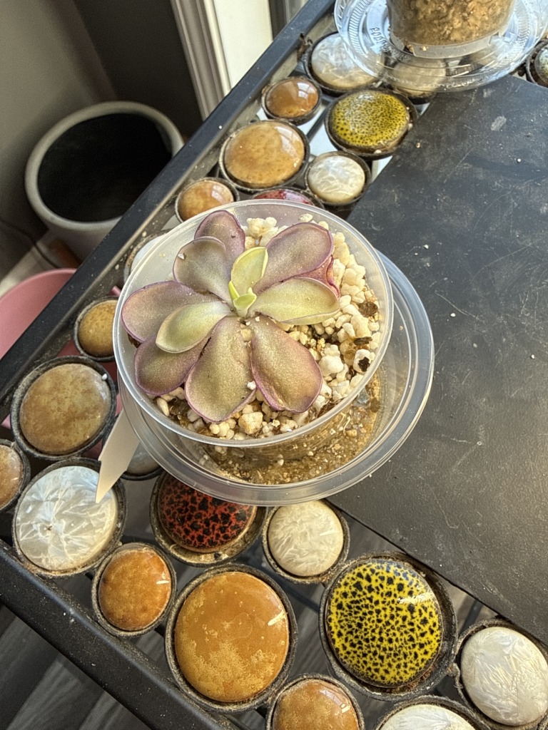 Image #1 from Daniela M.