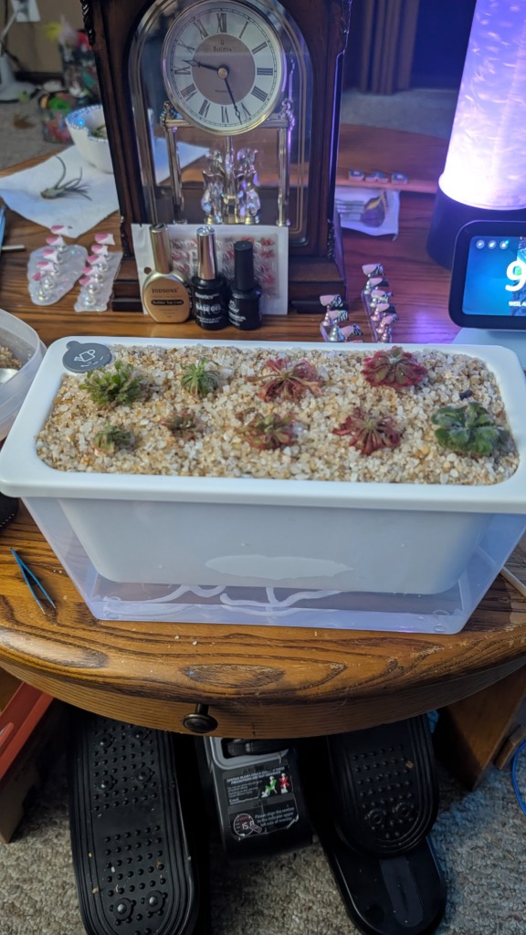 Image #1 from Nicole Fodor