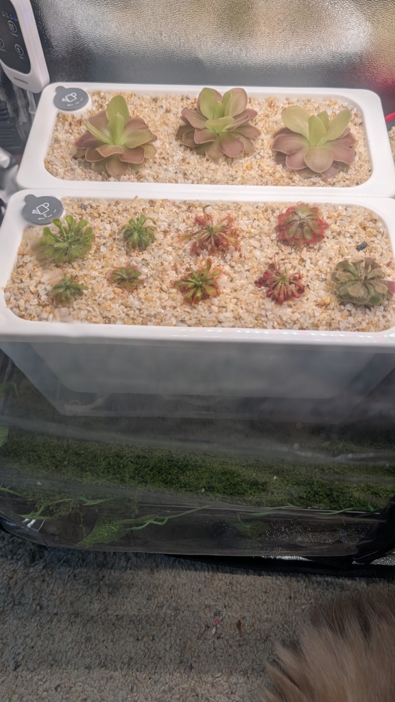 Image #2 from Nicole Fodor